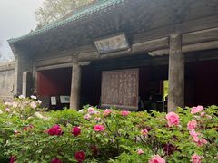 -窦大夫祠