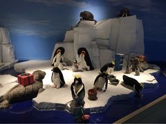 -成都泰迪熊博物馆