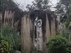 -白鹭湾湿地公园