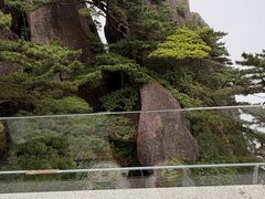 -黄山玉屏楼宾馆餐厅
