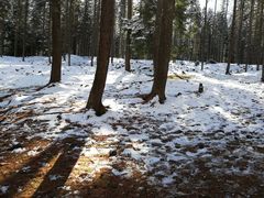 -硗碛藏寨·神木垒景区