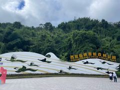 -西双版纳原始森林公园