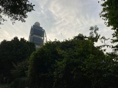 -深圳国际园林花卉博览园