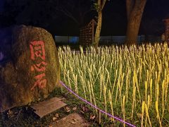 -观澜湖生态运动公社