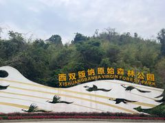 -西双版纳原始森林公园