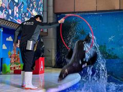 -成都浩海立方海洋公园