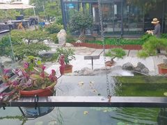 -蘇河湾·新鲁菜·泰山宴(泰山店)