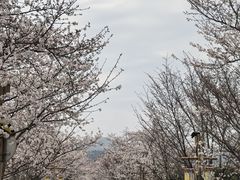 -长田漾湿地公园