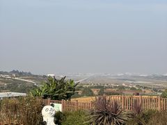 -空港花田景区