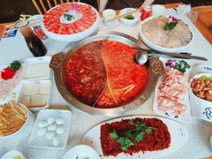 -大龙燚火锅(春熙店)