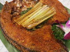 香茅草烤罗非鱼-紫滇源云南生态菜(丹凤街店)