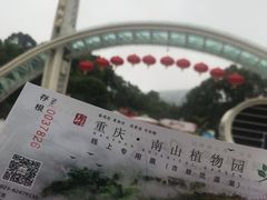 -南山植物园