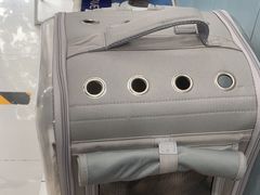 -纳吉亚猫专科动物诊疗中心(蒋宅口分院)