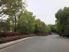 -上海崇明金茂凯悦酒店