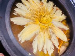 -映水芙蓉(上海万象城店)