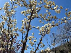 -北京西山国家森林公园