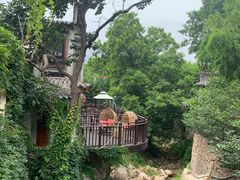 -老张烤羊(王哥庄店)