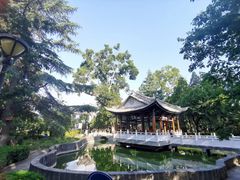 -巍山古城