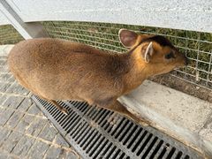 -北京野生动物园