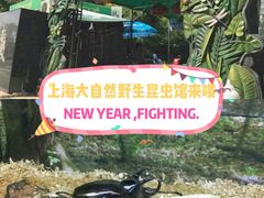 -上海大自然野生昆虫馆(东方明珠·爬宠昆虫探索中心)