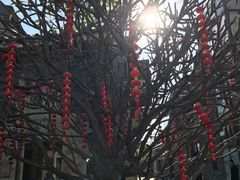 -华南国家植物园-售票处