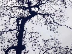 -杭州林泉山庄