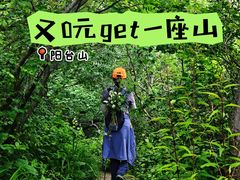 -阳台山自然风景区