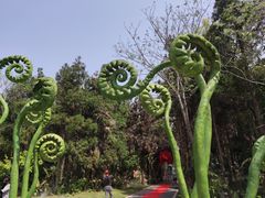 -东平国家森林公园