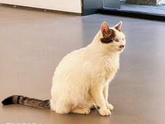 -竞思注意力·专注力·学习能力训练(广开中心)