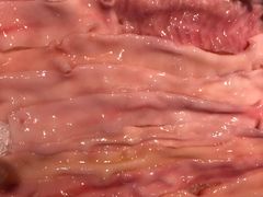 -二荆条·蜀鲜汇城市森林火锅