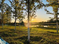 -蒲河岛湿地公园