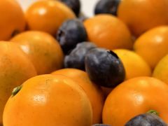 -福1039(愚园路店)