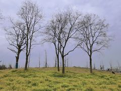 -上海山野camping·户外天幕烧烤·团建拓展营地