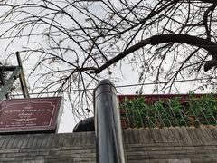 -Santoor 萨都里印度餐厅(北锣鼓巷店)