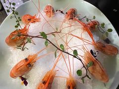 -淮扬府·游园京梦(成都 SKP 店)