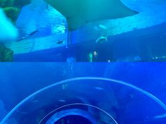 -威海华夏城景区