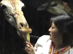 -清迈夜间动物园