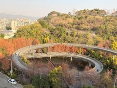 -福道