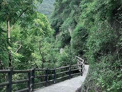 -少华山国家森林公园