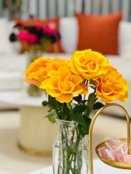 -WENDY·温迪皮肤管理