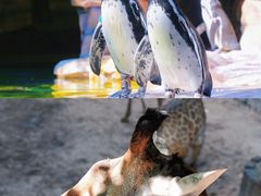 -长鹿旅游休博园