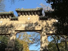 -灵谷景区
