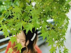 -杭州城北体育公园