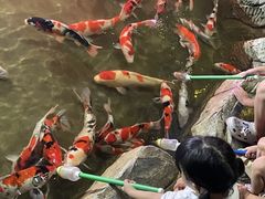 -泉城欧乐堡海洋极地世界