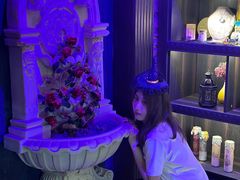 -雪灵魔法世界SHELLY’S TAROT(大良桂畔里店)