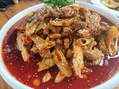 -青城甲(青城山店)