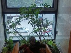 -名人名家     浙菜.家宴