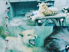 -西安秦岭野生动物园