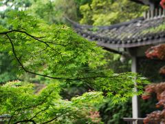 -杭州植物园