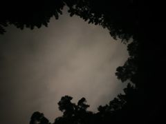 -火炉山森林公园